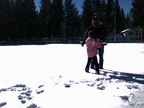 My beautiful picture